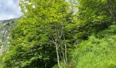 Tocht Stappen Saint-Pierre-de-Chartreuse - Col des Aures 8 km - Photo 3