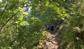 Trail Walking Saint-Pierre-des-Tripiers - Cassagnes crête vallée Jonte et Tarn 12,2 km - Photo 9