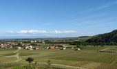 Excursión Bici de montaña Fréland - Fréland - Kaysersberg - Photo 2