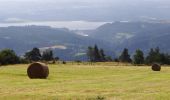 Tour Wandern Le Bouchet-Saint-Nicolas - GR_70_AC_03_Bouchet-St-Nicolas_Pradelles_20140917 - Photo 3