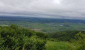 Randonnée Marche Tokaj - Tokaj - Photo 14