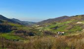 Tocht Te voet Montesegale - Anello Fornace Nord - Photo 10