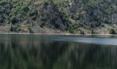 Tocht Elektrische fiets Le Bonhomme - Lac blanc col de la schlucht Six fours lac noir - Photo 7