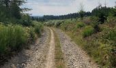 Trail Walking La Roche-en-Ardenne - Autour de Samrée  - Photo 2