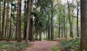 Tocht Stappen Gembloers - Promenade du bois de Grand-Leez et son étang  - Photo 16