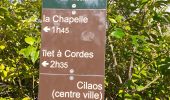 Tour Wandern Cilaos - la chapelle Cilaos - Photo 1