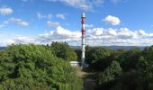 Tour Zu Fuß Bensheim - Rundwanderweg Bensheim Not-Gottes-Kapelle 6: Melibokus-Weg - Photo 10