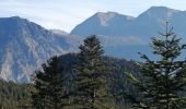 Randonnée Marche Chamrousse - lac affray - Photo 8