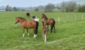 Tocht Stappen Libramont-Chevigny - Bras-Freux - Photo 10