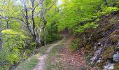 Trail Walking Aurel - Le Pas de la Frache - Photo 7