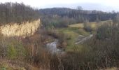 Excursión A pie Eschelbronn - Rundwanderweg Eschelbronn Kallenberg 1: Hetzenloch-Weg - Photo 10