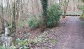 Tour Wandern Sint-Genesius-Rode - Sint-Genesius-Rode - Hoeilaart 2020 01 14 Groene Gordel 2 - Photo 5