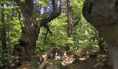 Tocht Stappen Annot - Les grés d'Annot: Jardins et chambre du Roi - Photo 10