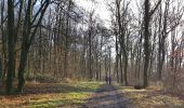 Tocht Stappen Anhée - 2020-01-16 Maredsous 21 km - Photo 6