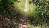 Tour Wandern Ciney - Braibant 060722 - Photo 2