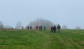 Tocht Stappen Rendeux - Hodister - Photo 7