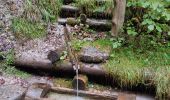 Excursión Ruta Gemeinde Kirchdorf in Tirol - Grießbachklamm – Wasserfall - Photo 6