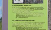 Tour Wandern Bleiberg - 20220623 - Ornitho Moresnet 5.1 Km - Photo 17