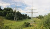 Tocht Te voet Gomadingen - Innerer Zugangsweg Schwäbischen Albvereins (gelbes Dreieck) - Photo 5