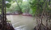 Tour Wandern Le Diamant - Taupinière/La Cherry  - Photo 10