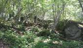 Randonnée Marche Magny-les-Hameaux - bois des roches - Photo 7