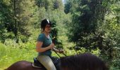 Trail Horseback riding Obersteinbach - autour d'Obersteinbach - Photo 8