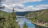 Tour Zu Fuß Tambach-Dietharz - Meister-Eckhart-Weg - Photo 4