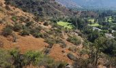 Randonnée Marche Vitacura - Sendero abajo del Cerro Carbón - Photo 9