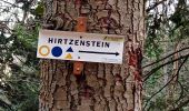 Tour Wandern Uffholz - Uffholtz - Wattwiller (23/12/2021) - Photo 4