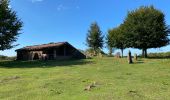 Trail Walking Sare - Lizarieta descente par palombieres  - Photo 1