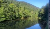 Trail Walking Bouillon - Rocher du pendu  - Photo 1