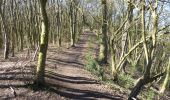 Tocht Te voet Malvern Hills - Abberley Circular Walk - Photo 2