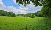 Tour Wandern Aubel - Abbaye du Val-Dieu - Photo 10