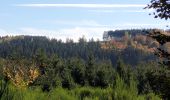 Tour Wandern Feitweiler - rando fauvillers 22-10-2024 - Photo 4