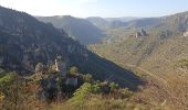 Trail Walking Peyreleau - belle rando dans les Cevennes  - Photo 5