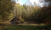 Tocht Te voet Trendelburg - Grenzland-Rundweg 2 - Photo 1