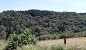 Tour Wandern Saint-Victor-la-Rivière - LA FORET DE COURBANGES - Photo 3