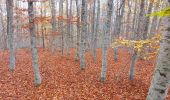 Trail Walking Aurel - Couleurs d'automne au Ventouret - Photo 2