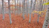 Tour Wandern Aurel - Couleurs d'automne au Ventouret - Photo 2