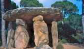 Randonnée A pied Vallgorguina - SL-C 71 El dolmen de Pedra Gentil - Photo 2