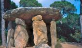 Percorso A piedi Vallgorguina - SL-C 71 El dolmen de Pedra Gentil - Photo 2