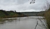 Tour Zu Fuß Hessigheim - Felsengarten - Photo 9