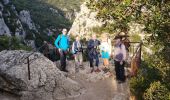 Randonnée Marche Quinson - Quinson, les basses gorges et la chapelle Ste Maxime - Photo 3