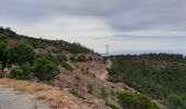 Excursión Senderismo Cavalaire-sur-Mer - rando avec serge et Ibrahim   le Pradet e retour par bonporteau - Photo 5