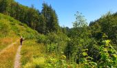 Tour Wandern Bièvre - Balade à Bellefontaine - Bièvre - Photo 6