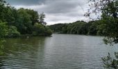 Randonnée Vélo électrique Savenay - Lac de Savenay /Lavau sur Loire  - Photo 15