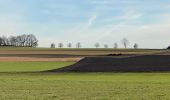 Tocht Stappen Leuven - S-GR Hageland : Leuven - Vertrijk - Photo 16