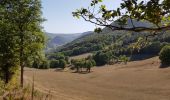 Tocht Stappen Valbeleix - AUVERGNE  MARCENAT (63) - Photo 3