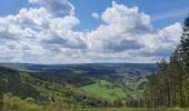 Tocht Stappen Stoumont - rando la gleize 20/05/2021 - Photo 4