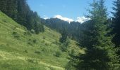 Randonnée Marche Taninges - Promenade de la cascade - Photo 1